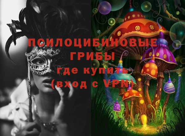 индика Гусиноозёрск